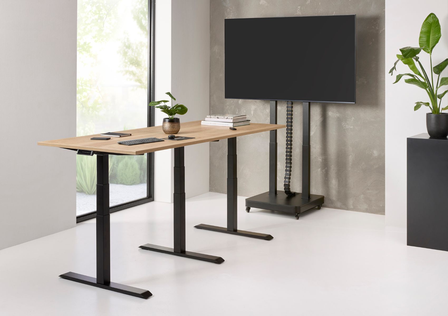 TV lifting system